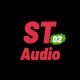 Stepcar Audio 02