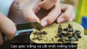 Vòng tay gỗ trầm hương kì Hải Nam hạt lu thống 6-8-10mm đeo tay cho nam nữ chính hãng Bách Tín 012