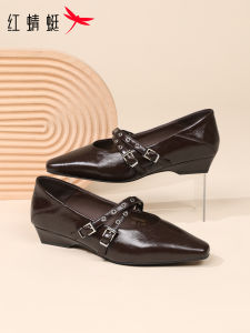 Reddragonfly | Pointed Toe Strap Mary Jane Soft Sole Commuter Womens Shoes