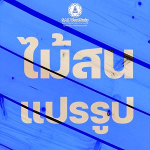 string(78) "ไม้สนนอก ไม้ Diy หนา 2ซม x 19.5ซม x 110-150ซม 1 ชิ้น SAK WoodWorks