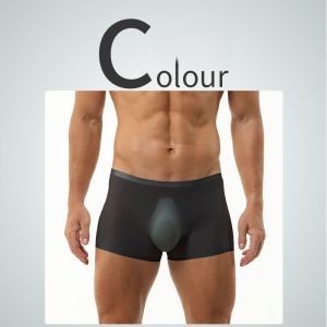 Mens Ice Silk Boxer Shorts Transparent Comfortable Seamless Breathable mid Waist Briefs Underwear Youth Fast Dry Home Clothes