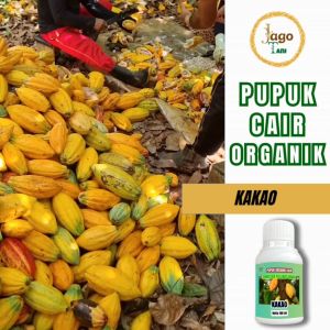 Pupuk Organik Cair Buah Kakao Mempercepat Masa Tumbuh Dan Melebatkan Buah By Jagotani Yogyakarta