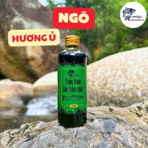 Hương liệu ngâm ngô câu trắm trắng chép hiệu quả