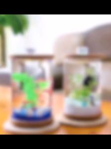 โหลเลี้ยงปลา มีไฟหมุนได้ โหลเลี้ยงปลากัด ปลาหางนกยูง แถมฟรีอุปกรณ์📌 มีพร้อมส่ง