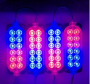 MODUL BAK KOLONG ULTRASONIC 12 MATA RGB 12V-24V