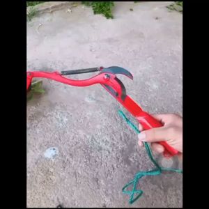 High-altitude fruit branches pruning tree branches special picking longan lychee fruit picking scissors