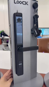 LOOCK G06AB G07AB G26 Sliding & Swing Aluminium Glass Door Smart Digital Door lock Smart Home Device