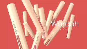 Wardah Colorfit Last All Day Lip Paint Transproof Tahan sampai 12 Jam Lip Cream Matte