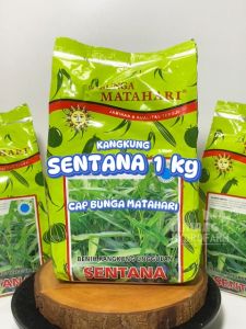 Benih Kangkung Daun Sempit Sentana 1 kg Cap Bunga Matahari dataran rendah unggul bibit biji sayur sayuran hydroponik hidroponik