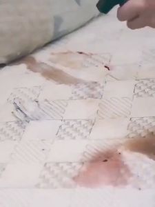 DELILAH MultiFunctional Foam Sofa Cleaner Spray: A Quick & Easy Solution