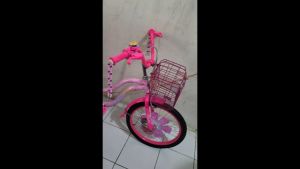 Sepeda New Phoenix Perempuan Ukuran 20 Inch Usia 8-12 Tahun