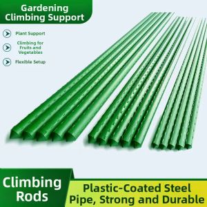NREK | Plant Support Climbing Frame Steel Pipe