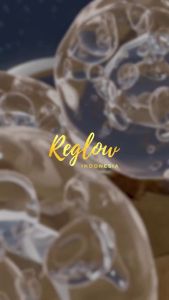 REGLOW Intensive Whiteninng NIght Cream Mencerahkan Kulit Pada Malam Hari Melembabkan Kulit Glowing Gratis Ongkir Halal