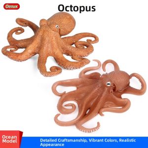 Cognitive Educational Toy Squid Model