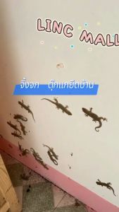 ❤️ใช้ครั้งเดียวได้ผล20ปี❤️น้ำยาไล่จิ้งจก ไล่จิ้งจกถาวร ไล่จิ้งจก ขับไล่ตลอด 24 ชั่วโมง เครื่องไล่ตุ๊กแกอัลตราโซนิกอัจฉริยะ ไล่ตุ๊กแกถาวร ปลอดภัยต่อหญิงตั้งครรภ์และเด็ก ขอบเขตการใช้งาน บ้าน สำนักงาน โกดัง โรงงาน ฯลฯ ยาฆ่าจิ้งจก ยาฆ่าจิ้กจก