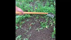 คราด คราดหญ้า คราดเหล็ก 7ฟันคราดถากหญ้า คาดหญ้า คราดเหล็ก คาดหญ้าเหล็ก คราด อุปกรณ์ทำสวน คราดมีด้าม ใช้ขุดดิน ขุ่นถางหญ้าดายหญ้า