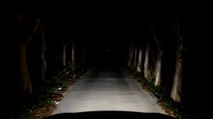 DriveDynasty BD 2PCS 120W LED Headlamp & Fog Lamp