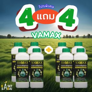 โปร 9.9 VAMAX 4แถม4 ปุ๋ยธาตุอาหารรวม เสริมการเจริญเติบโต ส่งฟรี