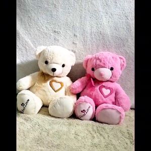 Dreamtoys96 Boneka Teddy Bear Beruang Telapak Choco Love L