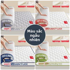 JIFANPAUL | Đệm Bọt Nhựa Latex Chống Trượt 9cm