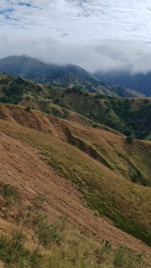 ZB CHLOROTHALONIL 720 SC FUNGICIDE 1000ml 1 carton * 12