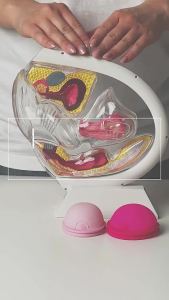 INTIMINA Ziggy Cup 2 Size B (Average to High Cervix)