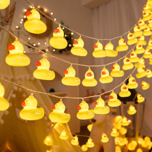 BEAUTY IN THE LIGHT | Outdoor Decorative LED Solar String Light