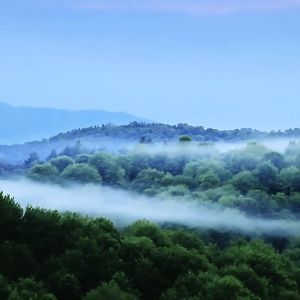 Mini bladeless folding fan Five speed convenient neck hanging fan Peminat kecil USB rechargeable outdoor small fan 挂脖风扇