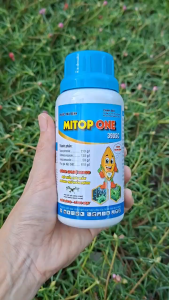 [TRUNG THIEN THINH] Trừ lem lép hạt lúa nếp MITOP ONE chai 240ml làm sáng hạt sạch nấm bệnh