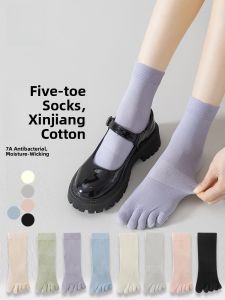 MiiOW | Womens Breathable Thin Short Tube Socks 2025 Spring Summer Mesh Sweat Absorbent Separate Toe Cotton Socks MiiOW Cat Person