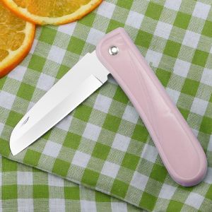 FUJUN | Stainless Steel Foldable Portable Multi-functional Fruit Knife