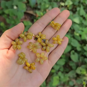 Q1806 Charm ngũ đồng điếu Thạch Anh Tóc Vàng sẵn lỗ 2li hợp Thổ & Kim - Phong Thủy TUDO