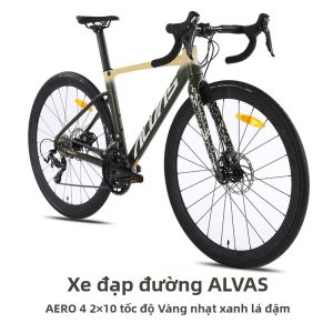 ALVAS | Xe Đạp Đường Bộ Giải Trí Aero Break Wind