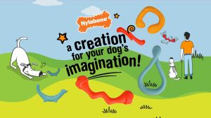 Nylabone C-Shuu Eggi Rexii Interactive Dog Toy for Dog Enrichment - kcpetsg