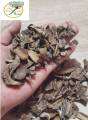 ไม้หอม​ ไม้​กฤษณา​ ไม้หัวตราด​ (Trat Agarwood​ Chips​)​. 