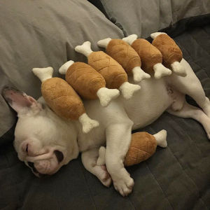 Đồ Chơi Chó Bằng Vải Teddy Không Thể Cắn Được Đồ Chơi Chó Phát Âm Giúp Thú Cưng Giải Trí Đồ Chơi Chó Cưng Corgi Shiba Inu Schnauzer