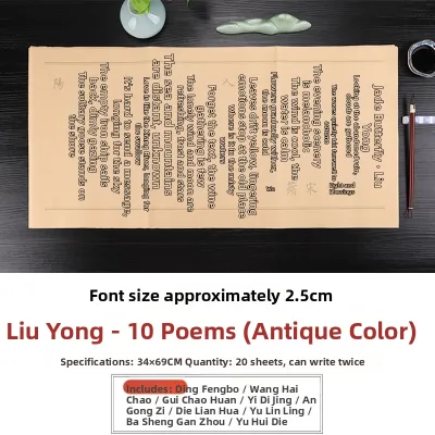 Calligraphy Practice Book for Beginners Small and Large Regular Script Copying