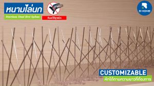 ลวดกันนกพิราบ B-HOME เหล็กกันนก อูปกรณ์ไล่นกพิราบ อูปกรณ์ไล่นกพิราบ ไล่นกพิราบถาวร Bird Spikes ที่ดัก หนามไล่ นกพิราบ ที่กันนกพิราบ ที่ไล่นกพิราบ หนามกันนกพิราบ กันนกเกาะ กำจัดนกพิราบ สแตนเลส AN-BDSPI --01