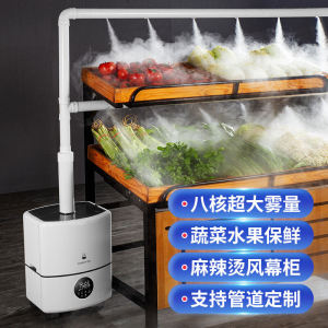 Industrial Commercial Vegetable And Fruit Preservation Spray Machine Large Quantity Stall Business Anti-Static Humidifier