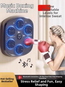 PINNAI | Music Boxing Trainer Fitness Equipment
