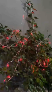 Tumblr Lampu DEKORASI Hias HARI RAYA (17an Natal Tahun Baru Idul Fitri)