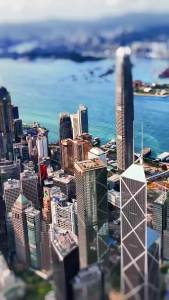 【3 BOX】Wright Life Antarctic Krill Oil High Purity DHA & Omega-3 Promote Cardiovascular Health Stabilizing 3-Highs Maintain Joint Flexibility Support Brain & Eyes Health - EXP：2026/12