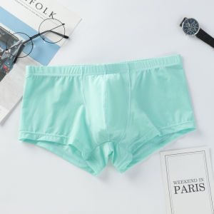 Mens Ice Silk Low Waist Ultra-Thin Briefs Single-Piece Transparent Breathable Summer Underwear Sporty U-Design Flat Angle Pants