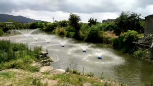 Đầu Phun Máy Bơm Nổi Tạo Oxy Ao Hồ – Đầu Nối Ren Máy Bơm Tõm – Đầu Vòi Tạo Oxy Cho Hồ Cá Ao Tôm