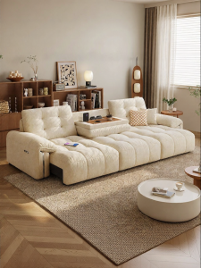 LFF | Detachable Electric Fabric Sofa Bed