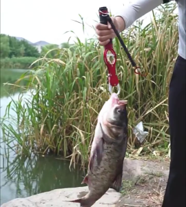 Fishing Gripper Lip Grippers Fishing Fish Grabber Tool Lip Clamp With Weight Scale Anti-Rust For Beginner Fishing