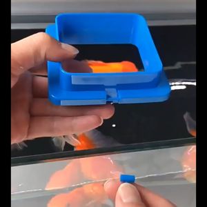 Aquarium Feeding Ring With Suction Cup