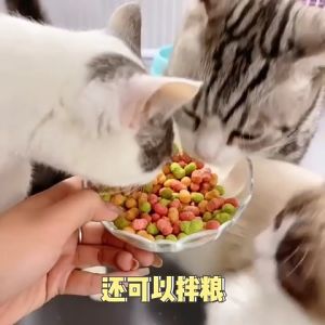Cat Biscuits Cat Snacks Cat Food Tuna Mint Chicken Flavor Biscuits Pet Cat and Dog Snacks