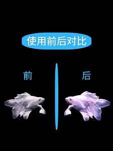 Cám cá Chép Sư Tử FKSC | Thức ăn Cá Phi tần Độ Đạm cao Giúp cá Tăng trọng Lên màu Hỗ trợ Tiêu hóa