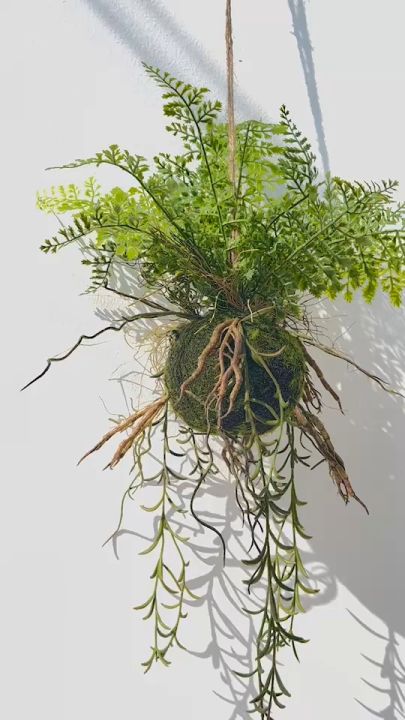 Madam Khajee กระเช้าเฟิร์นประดิษฐ์เสมือนจริง เกรดพรีเมียม